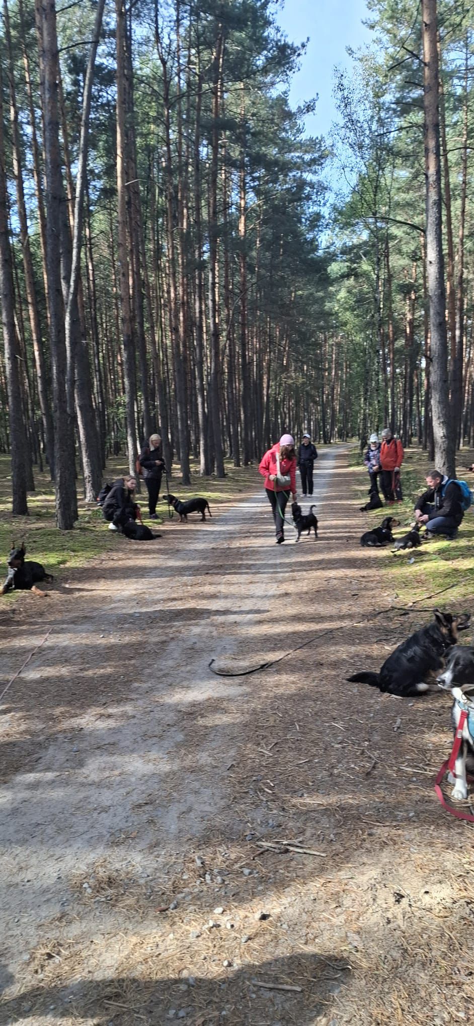 Zajęcia grupowe