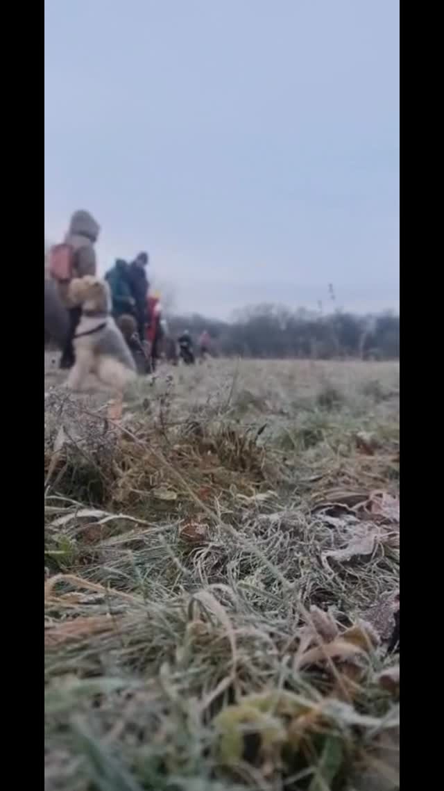 Takie tam nasze chłodne poranki z przywołaniem i innymi gadż