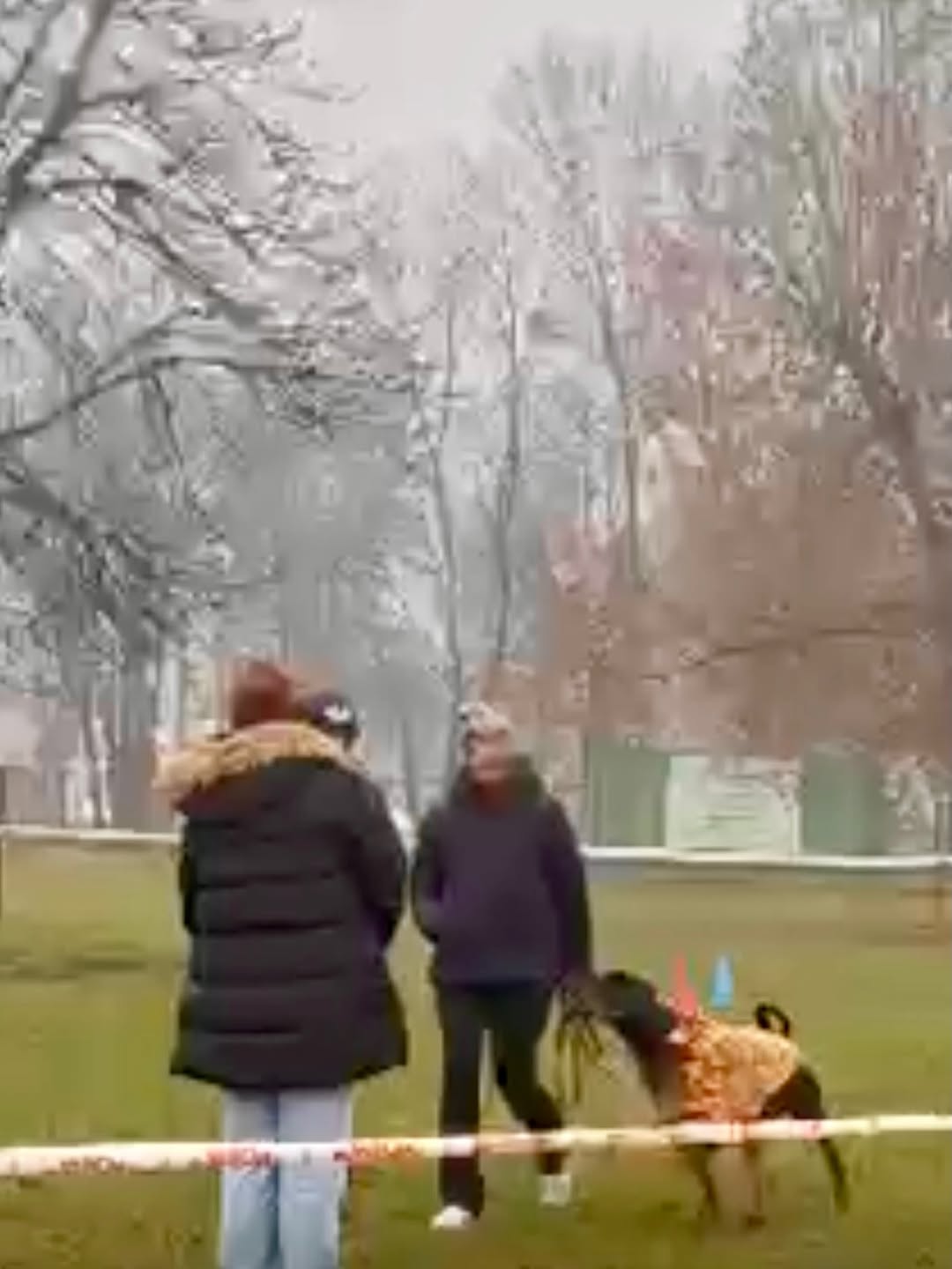 Halo Wieści 

  Wczoraj jednen z moich kursantów 
  TAHI-RÉM